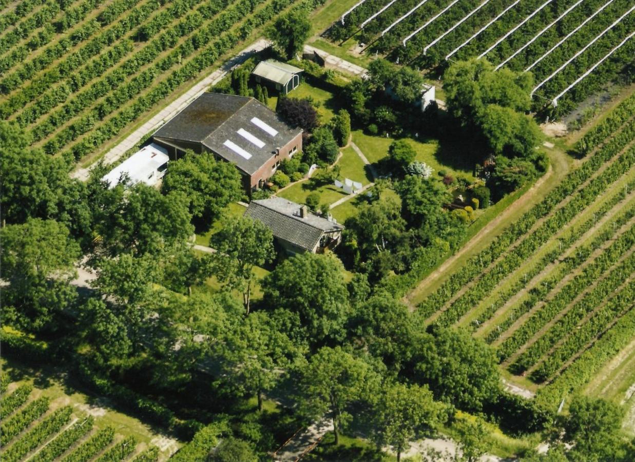 B&B Elbahof, goed en goedkoop! Hem Buitenkant foto