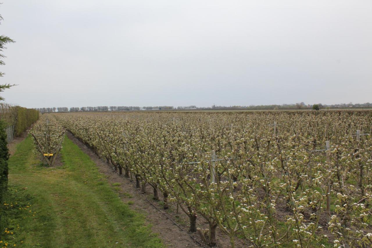 B&B Elbahof, goed en goedkoop! Hem Buitenkant foto